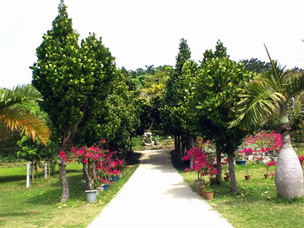 宮古島市熱帯植物園